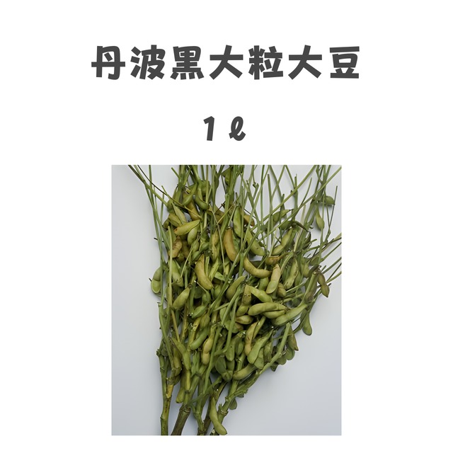 丹波黒大粒大豆　ダイズ種子・1L