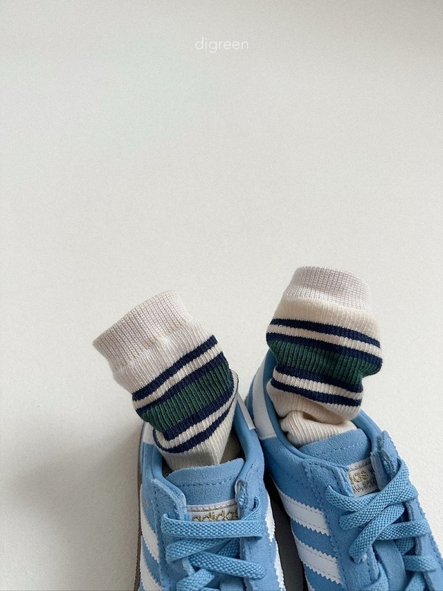 〘予約〙digreen / socks_ Authentic