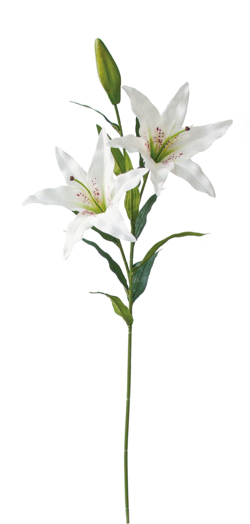 カサブランカダイ ホワイト系 FA-7025W 4961823656378 造花（アーティ