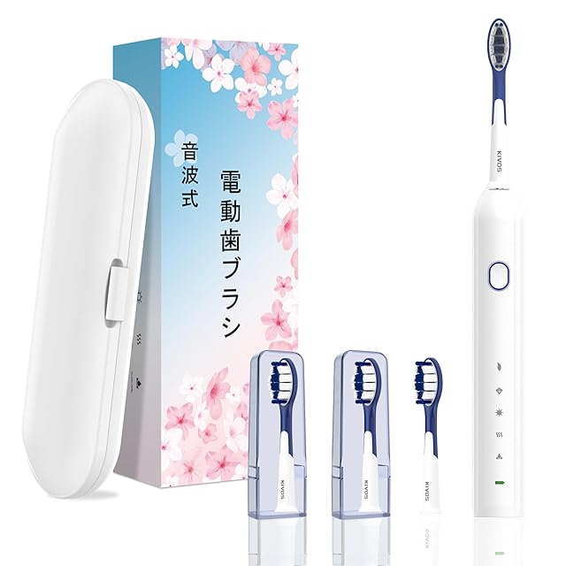 パナソニック 音波振動ハブラシ ドルツ 電動歯ブラシ USB充電 EW-DA48
