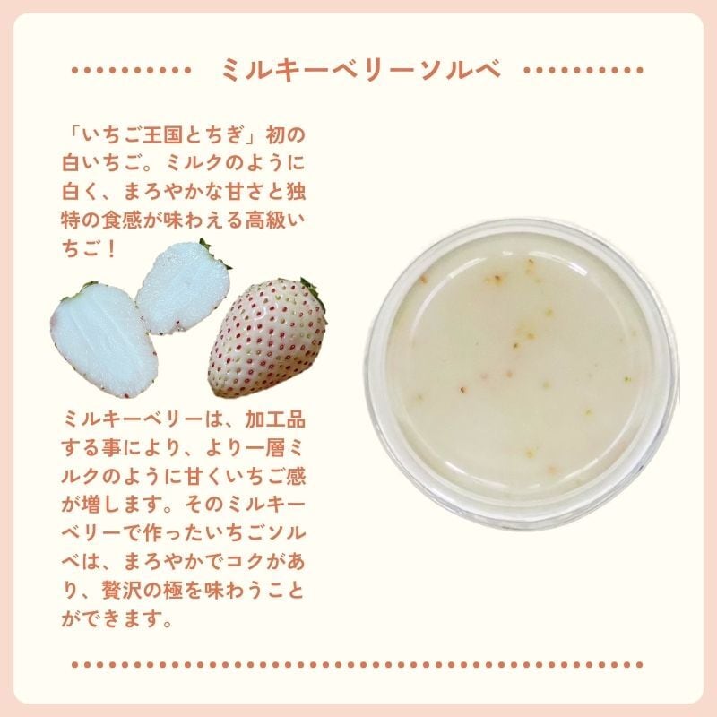 究極のいちごジェラート 3種6個セット | 猪野さんちのいちご農園｜産直