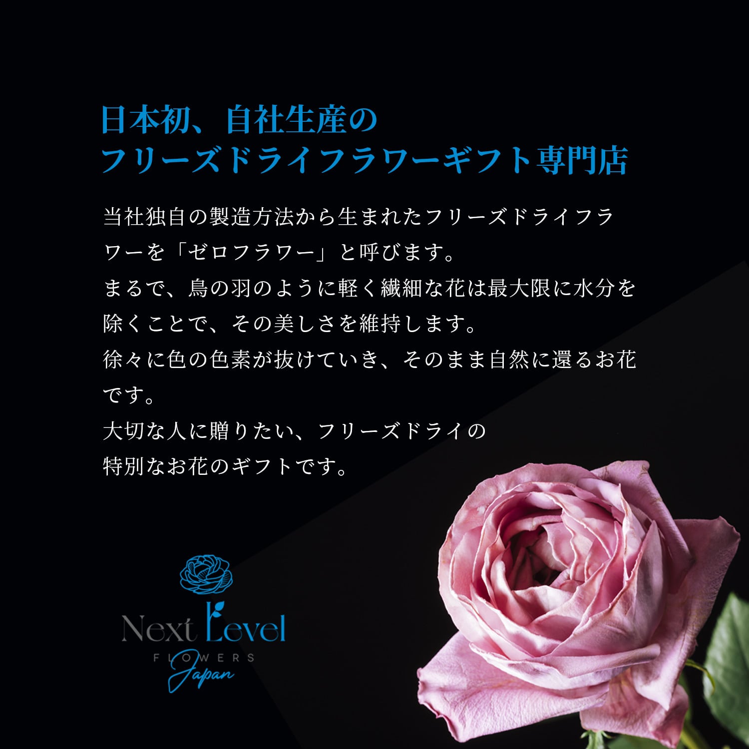 植物標本「花いちりん」S ゼロフラワーフリーズドライフラワー
