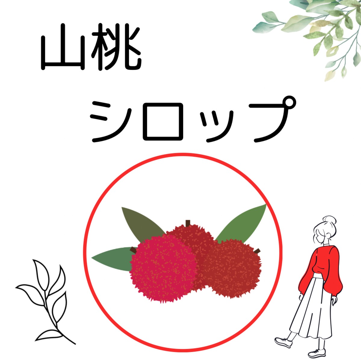 オススメ。山採りシロモジ。 厳選。山採りシロモジ。【公式通販】