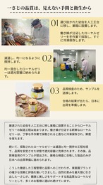 「送料無料」人気NO.1、台湾産生ローヤルゼリー100g(約1ヶ月分)x2本（ヤマト運輸冷凍便発送）