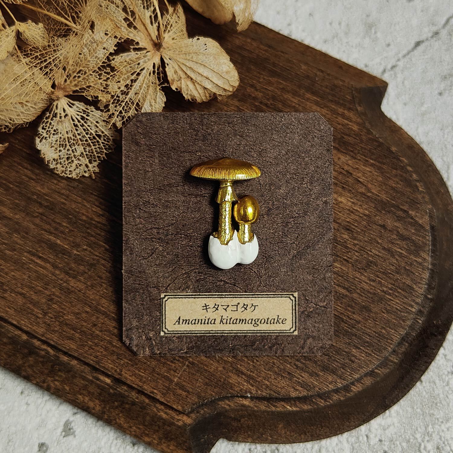 ピンバッジ・ブローチ | kinoko-mono