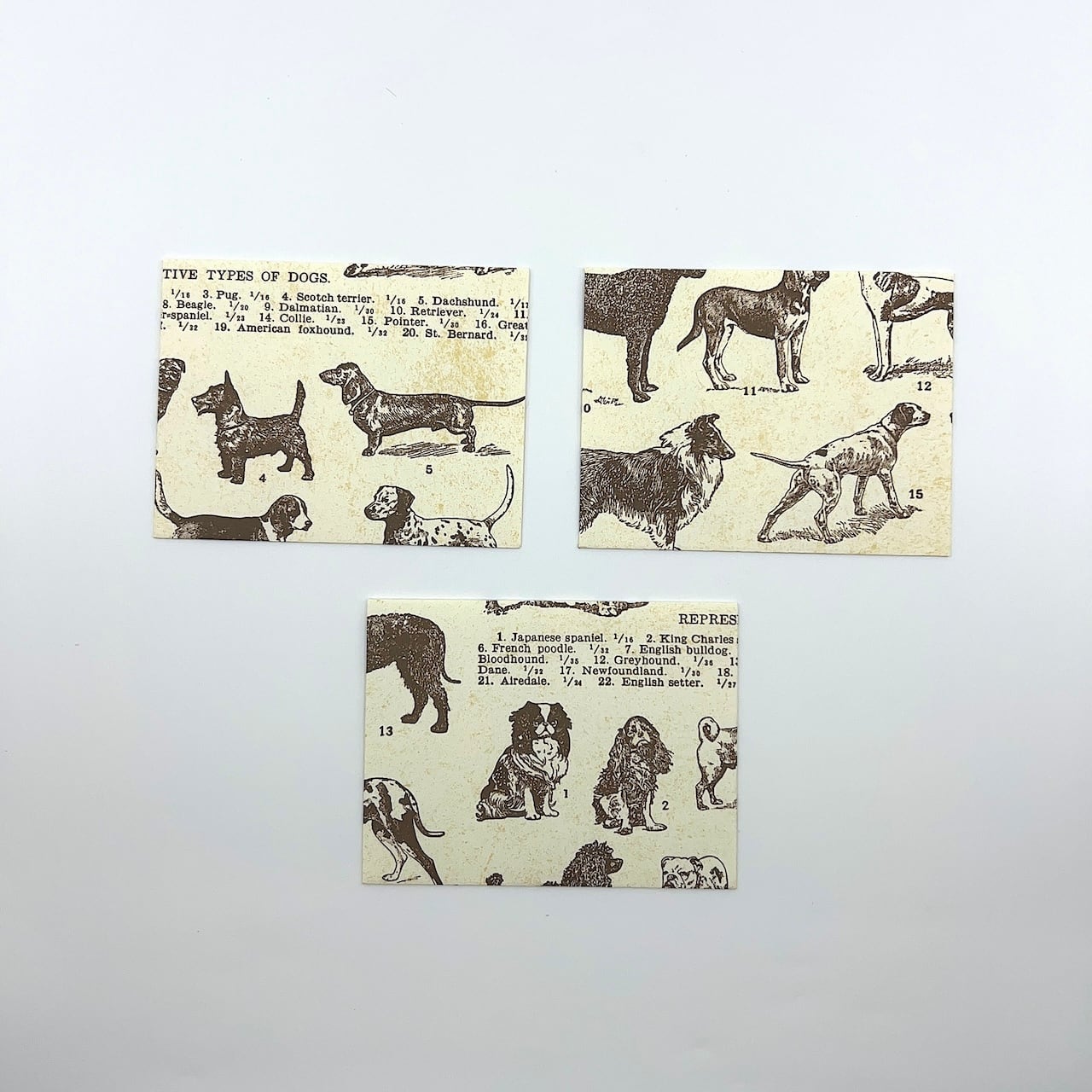 【ぽち封筒】~Dog~3枚セット