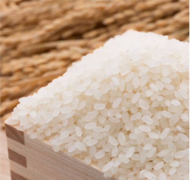 契約農家のこしひかり10キロ