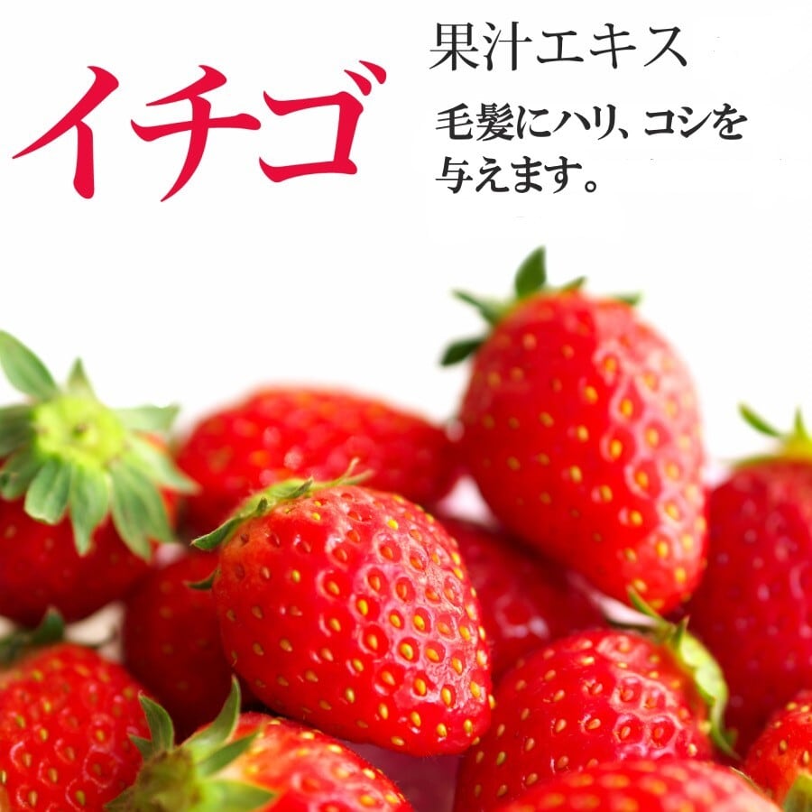 いちご ストロベリー スカルプシャンプー ＆ トリートメント 350mL ノンシリコン フケ 皮脂 ニオイケア 泡 送料無料 |  YOKO・JAPAN株式会社