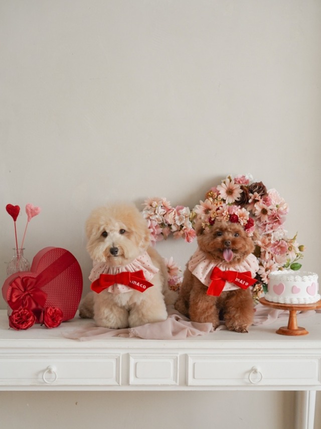 〈レンタル〉BLUE