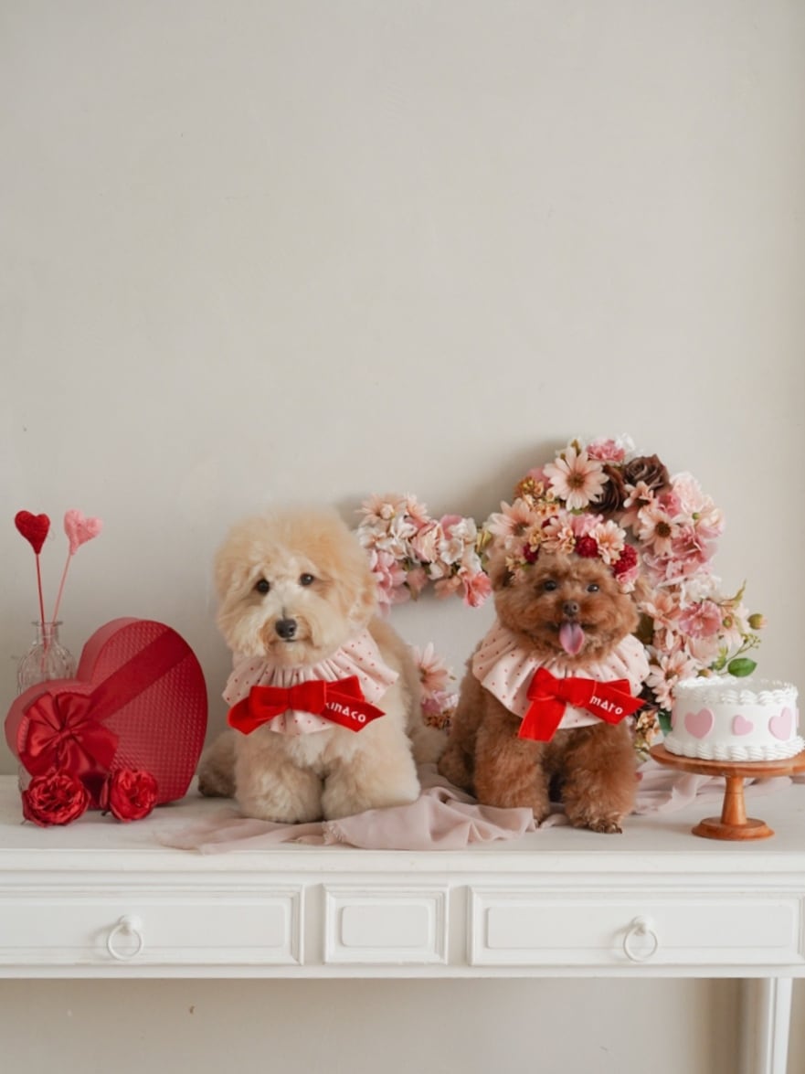 〈レンタル〉HEART