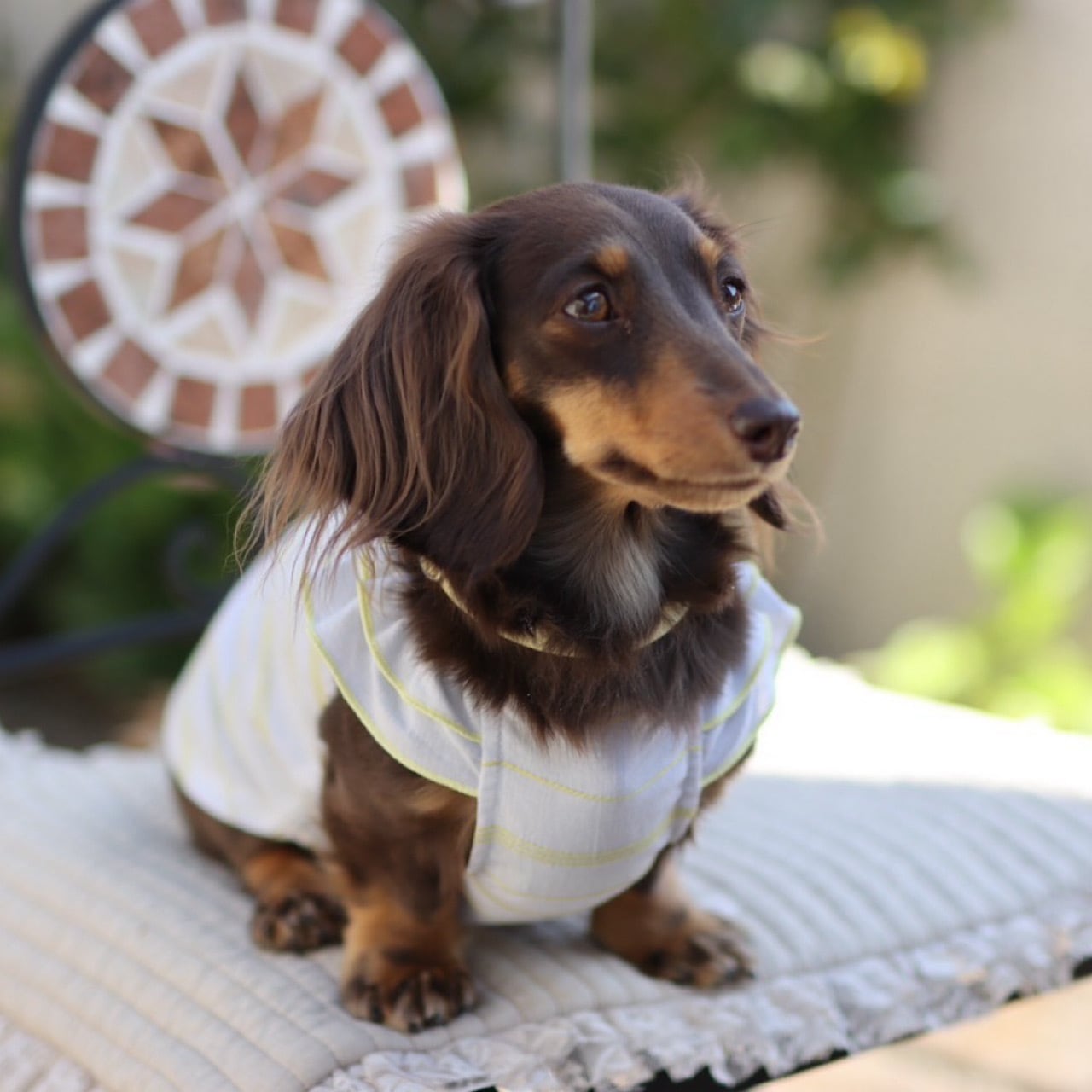 シャーリングスモックワンピ (ドビーボーダー・モノトーンチェック