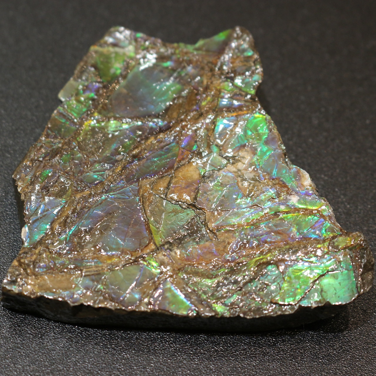 アンモライト カナダ産 109g 0390000036・画像11