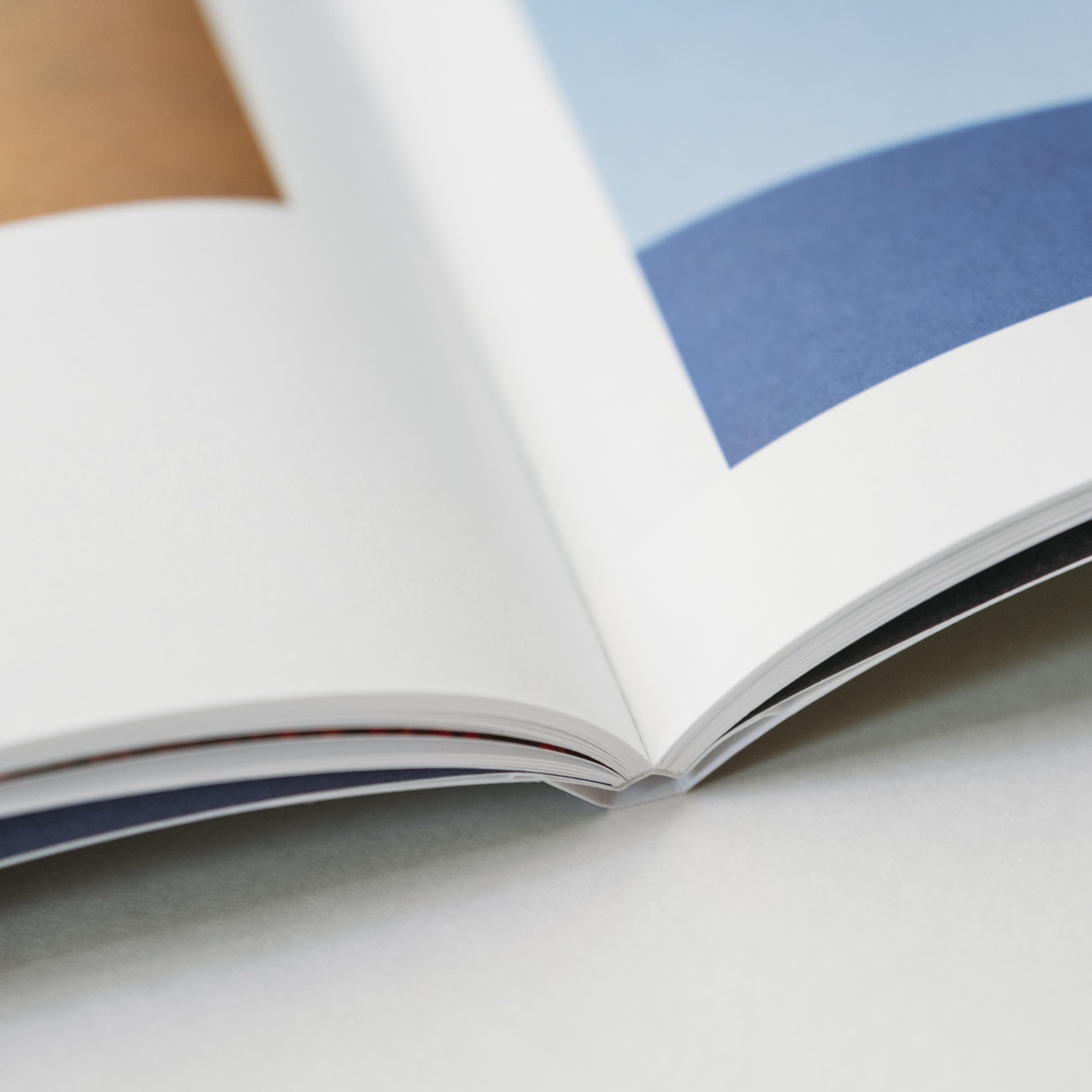 Trees on the Hills」公式図録 | 拓真館 TAKUSHINKAN