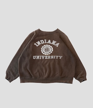 Vintage 60s INDIANA UNIVERSITY Raglan Sleeve Sweat