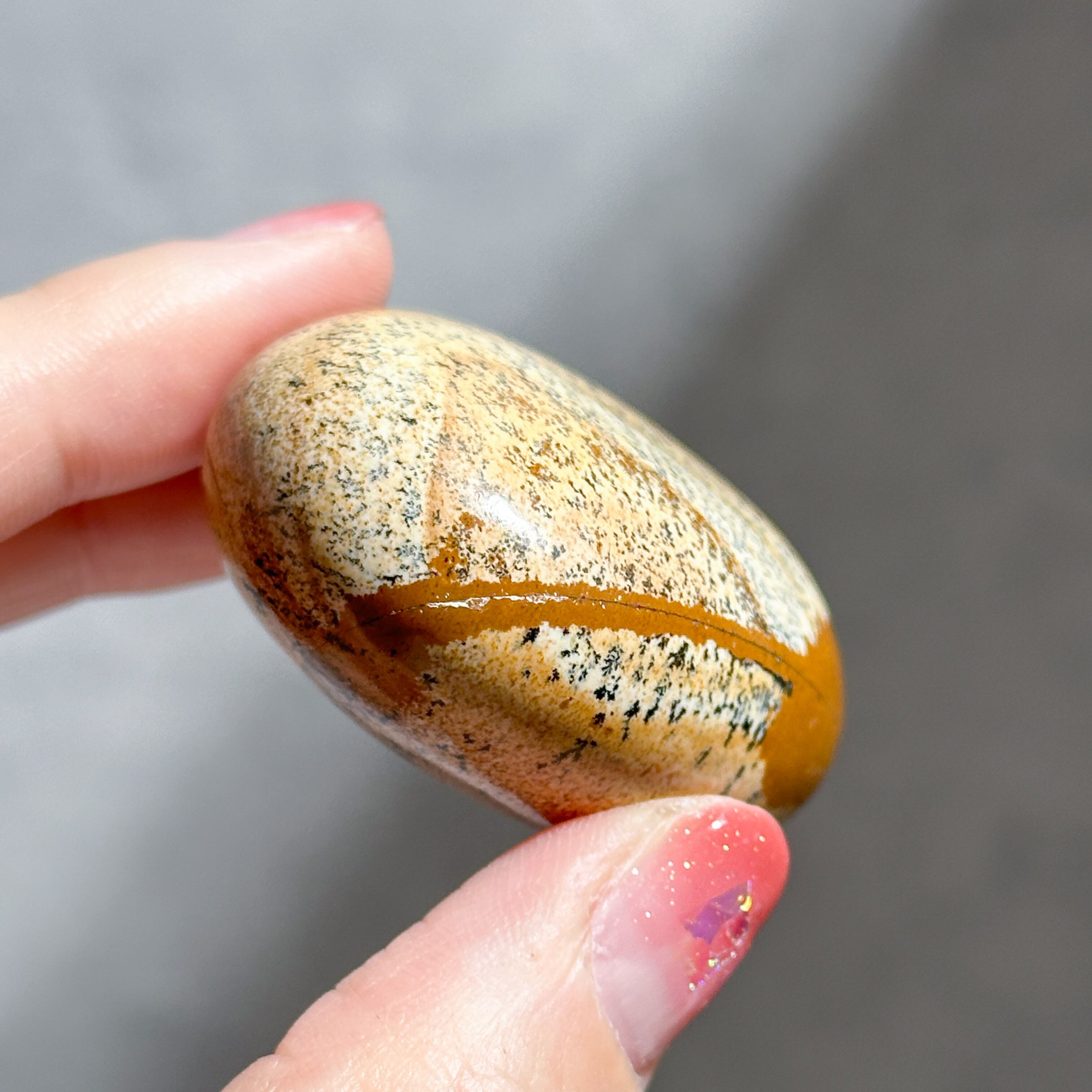 ピクチャージャスパー パームストーン21◇ Picture Jasper ◇ 天然石
