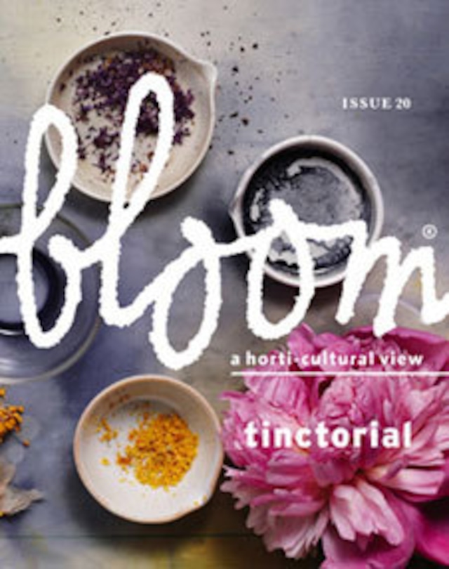 bloom ISSUE 24