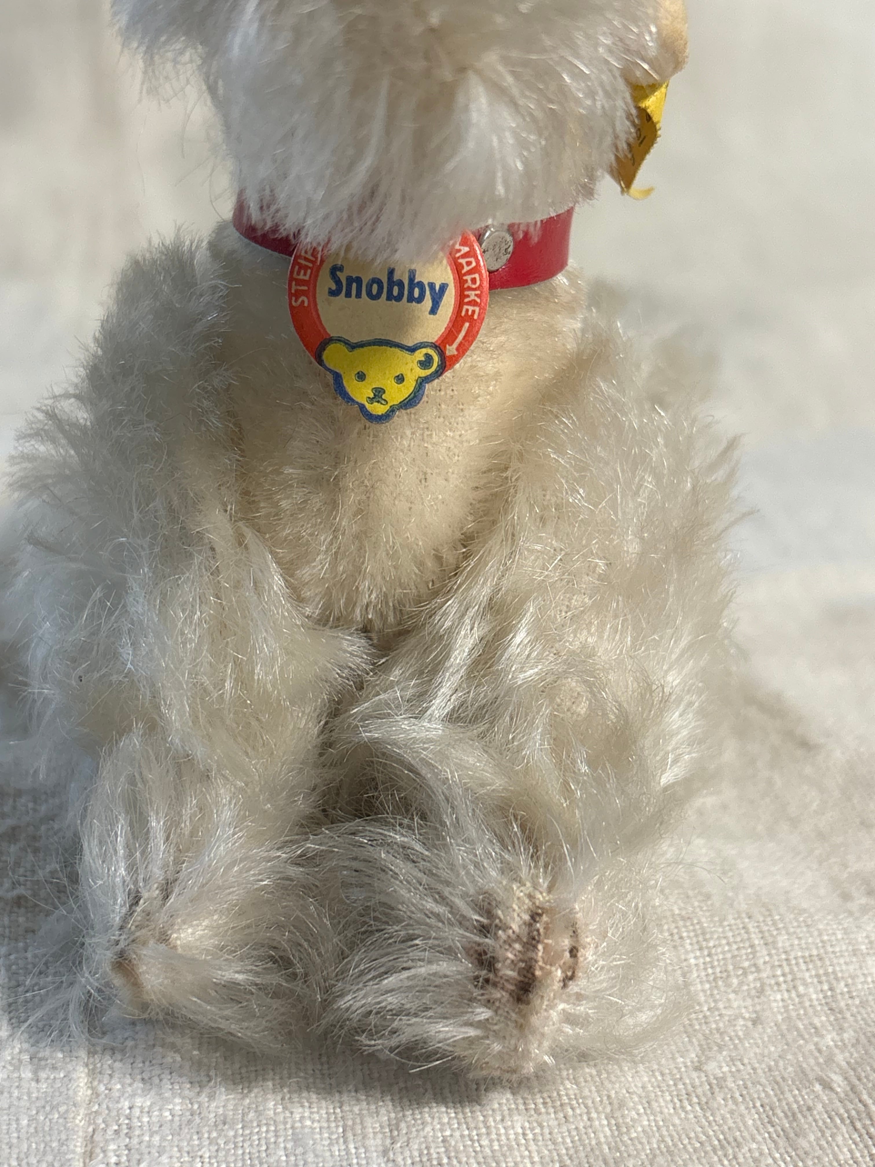 やさしい表情のプードル | Steiff Poodle Snobby 14cm White all ID