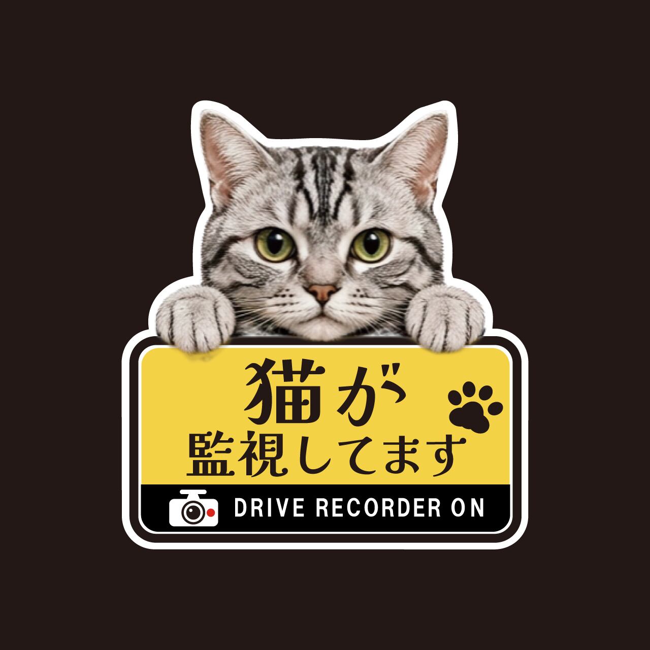 アメリカンショートへアー・アメショー・猫・ドライブレコーダー・ドラレコステッカー・撮影中・車・ステッカー・インクジェット印刷・屋外用・猫好き・ドライブグッズ・監視しています・おもしろい・かわいい・肉球