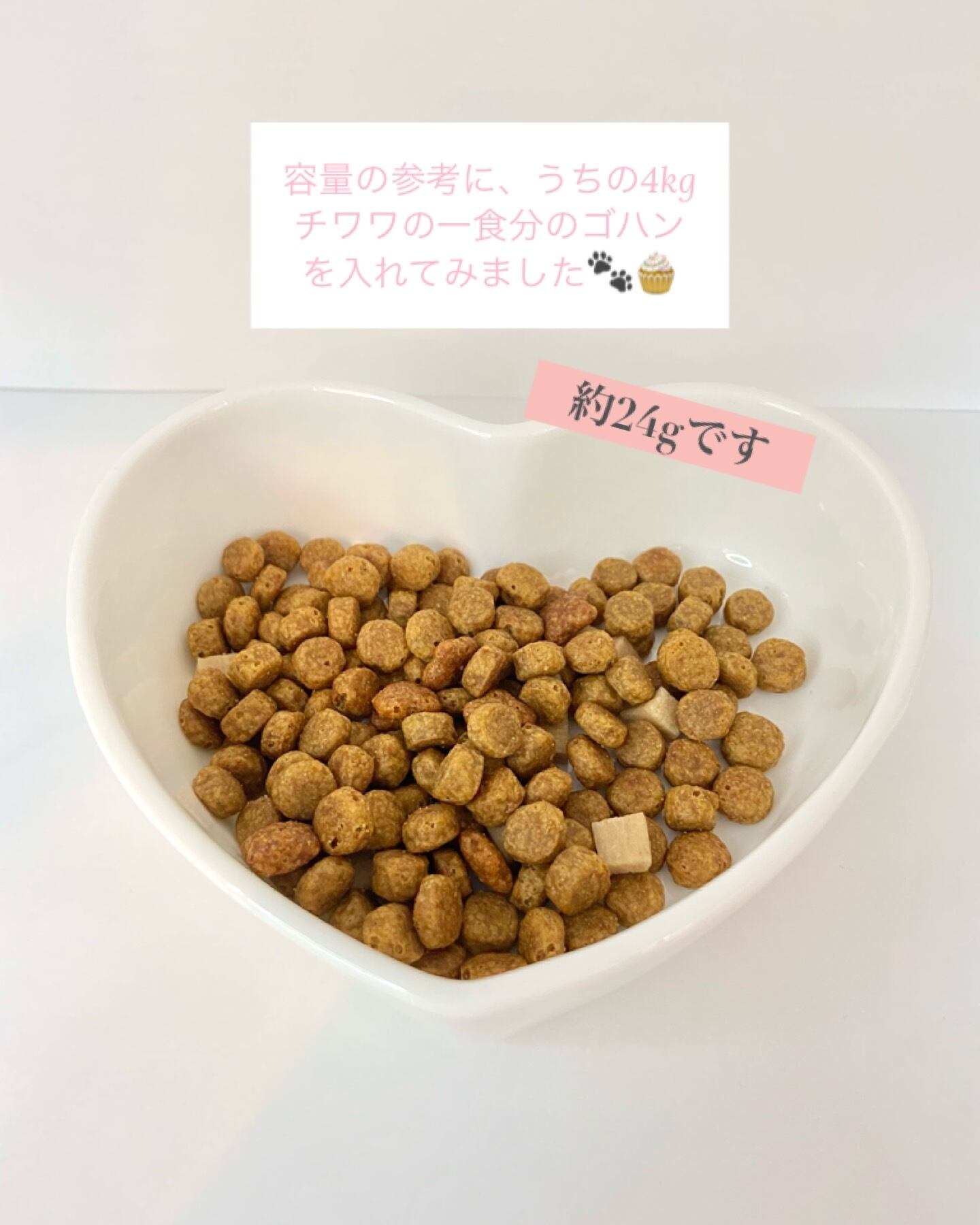 アウトレット】お姫様なワンちゃん用 ハート型フードボウル 黒ピンク