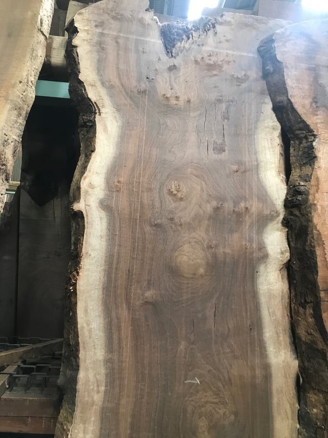 クラロウォールナット_2660×620×55_Web限定_オーダー用原板 T955