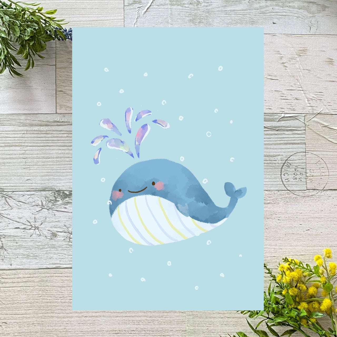 くじら様お願いいたします。 くじらによる「先輩はおとこのこ」OP・ED両主題歌CD発売決定