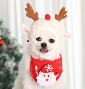 ドッグウェア　クリスマス用セットアップ　トナカイ帽子＆サンタスタイ　犬服　