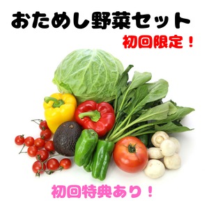 おためし野菜セット（初回限定）