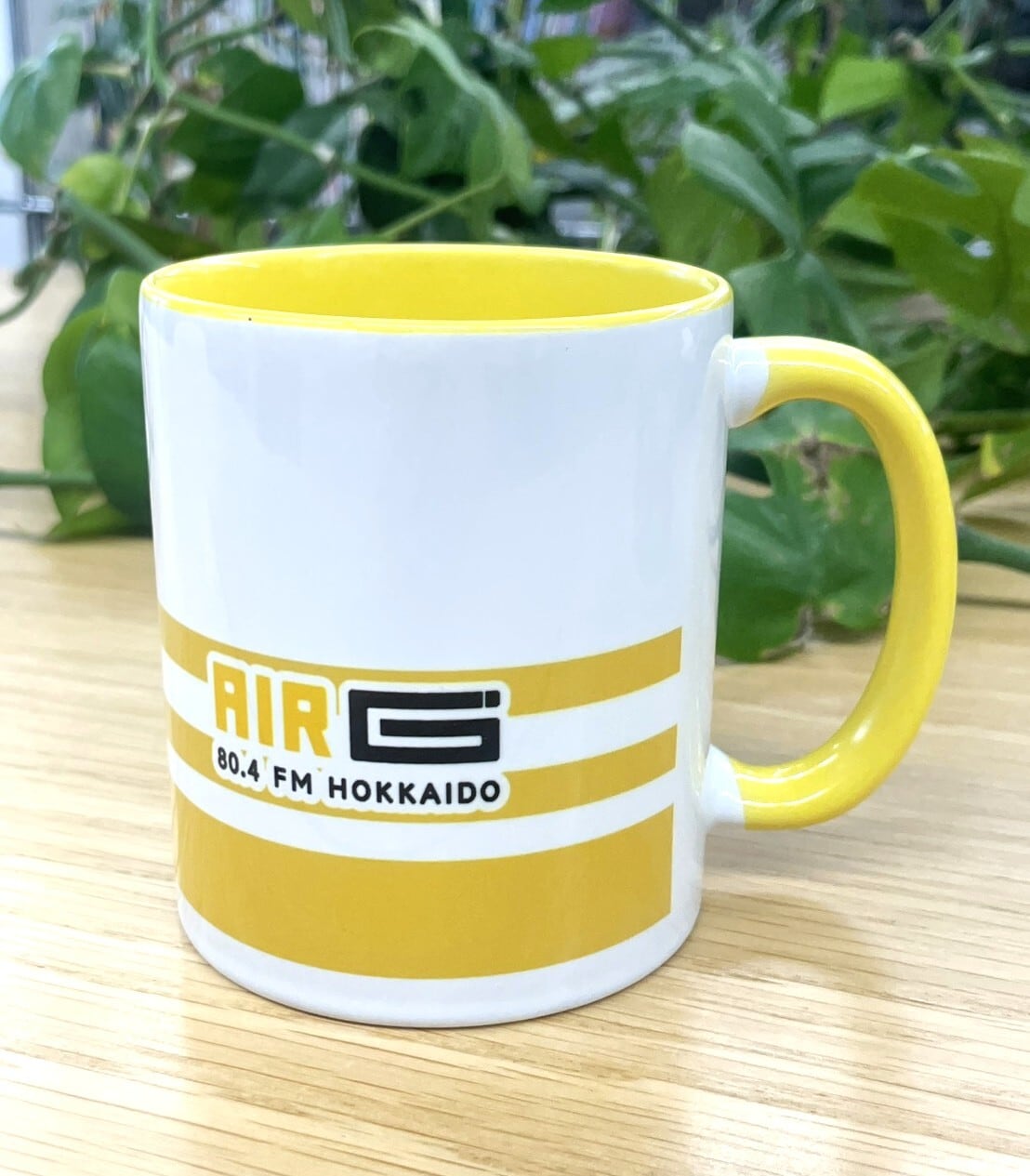 AIR-G'農Landsオリジナルマグカップ （イエロー／グリーン 単品販売
