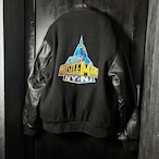 USA製 GAME WWE WRESTLE MANIAスタジャン プロレス