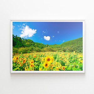 風景額装写真 ２Lサイズ（199×250mm）