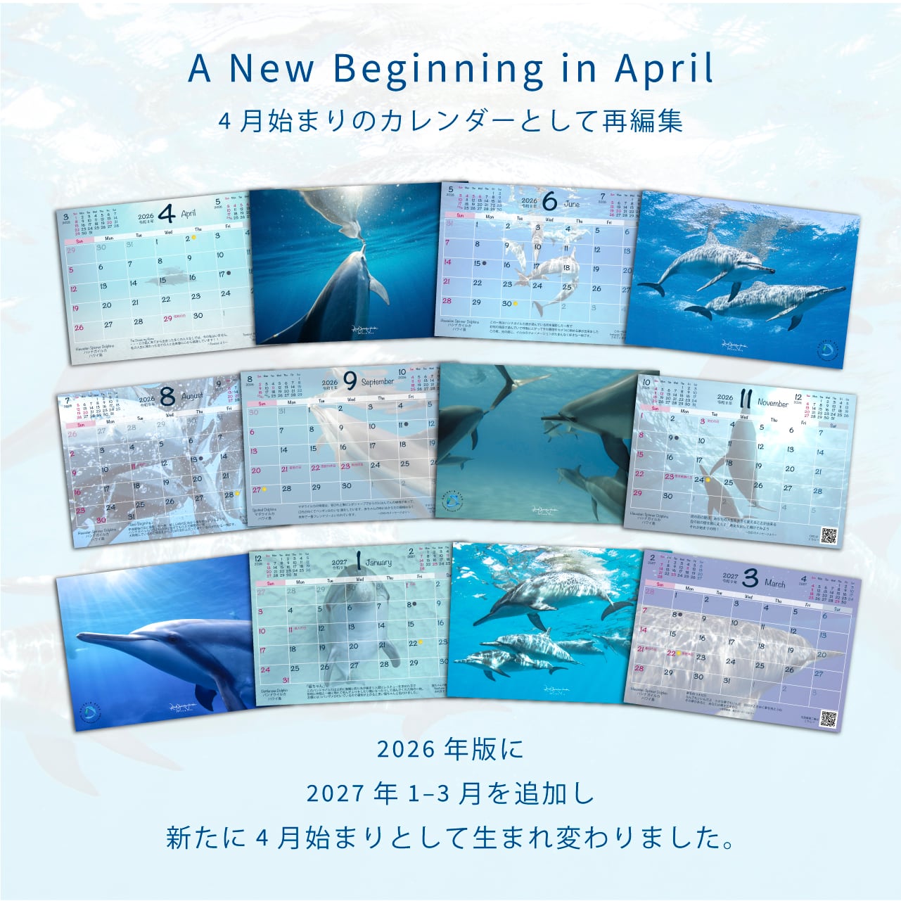 DOLPHIN EYES カレンダー 2026.04–2027.03（4月始まり・数量限定