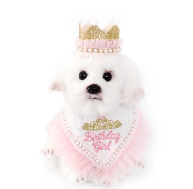 《予約》№2101078 プリンセスバースデースタイ