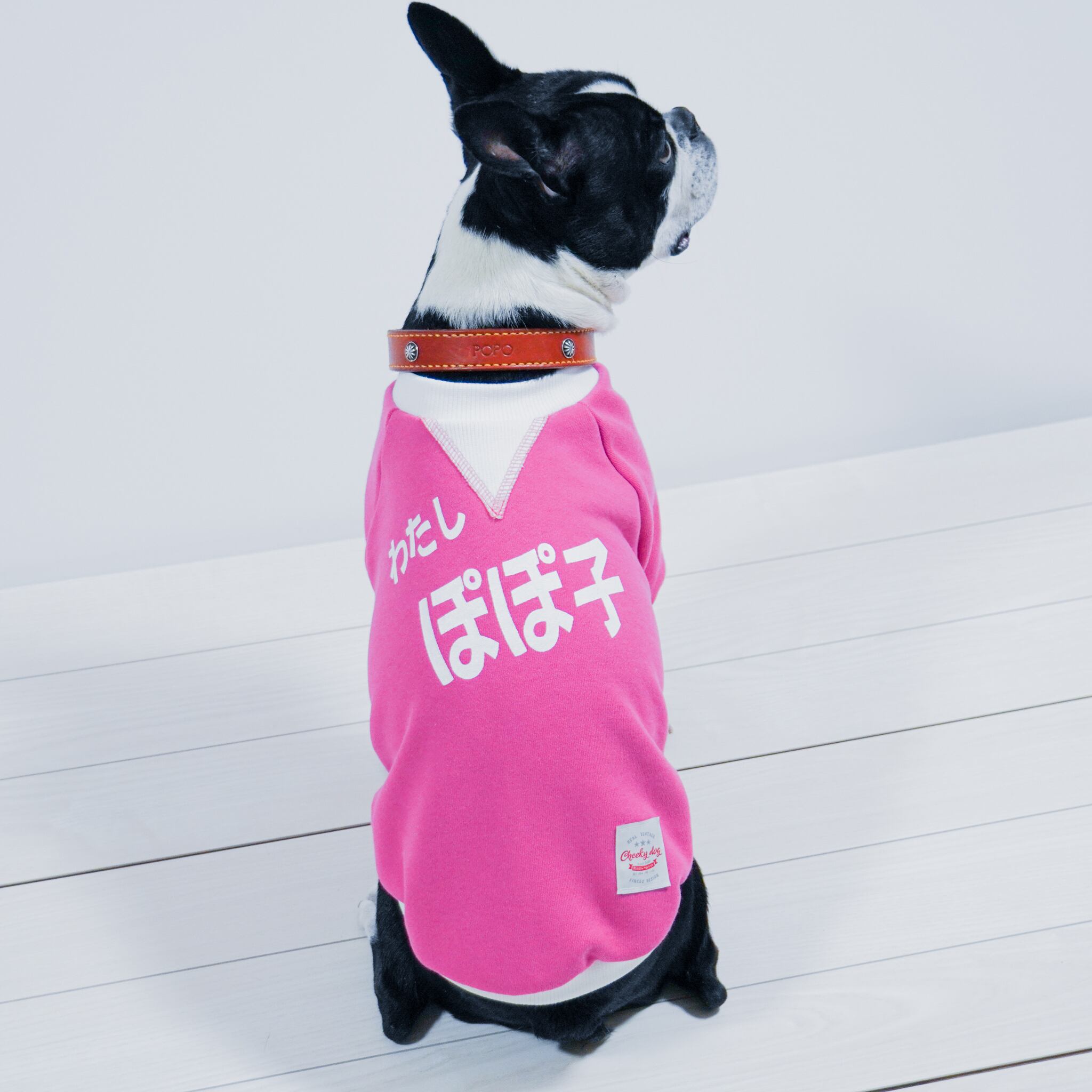 浴衣用帯＜pink＞/ボストンテリア/犬服 | Cheeky☆dog