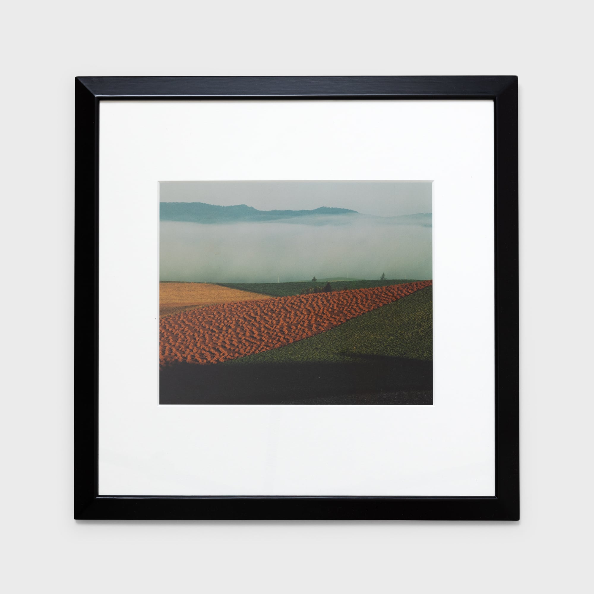 前田真三額装写真「秋の彩り」黒木額〈展示品〉 | 拓真館 TAKUSHINKAN