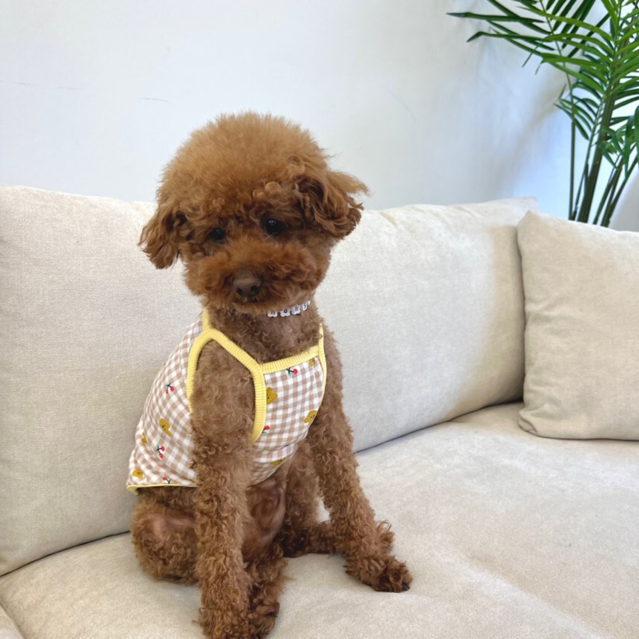 予約【pecoramou select】チェックベアーTシャツ