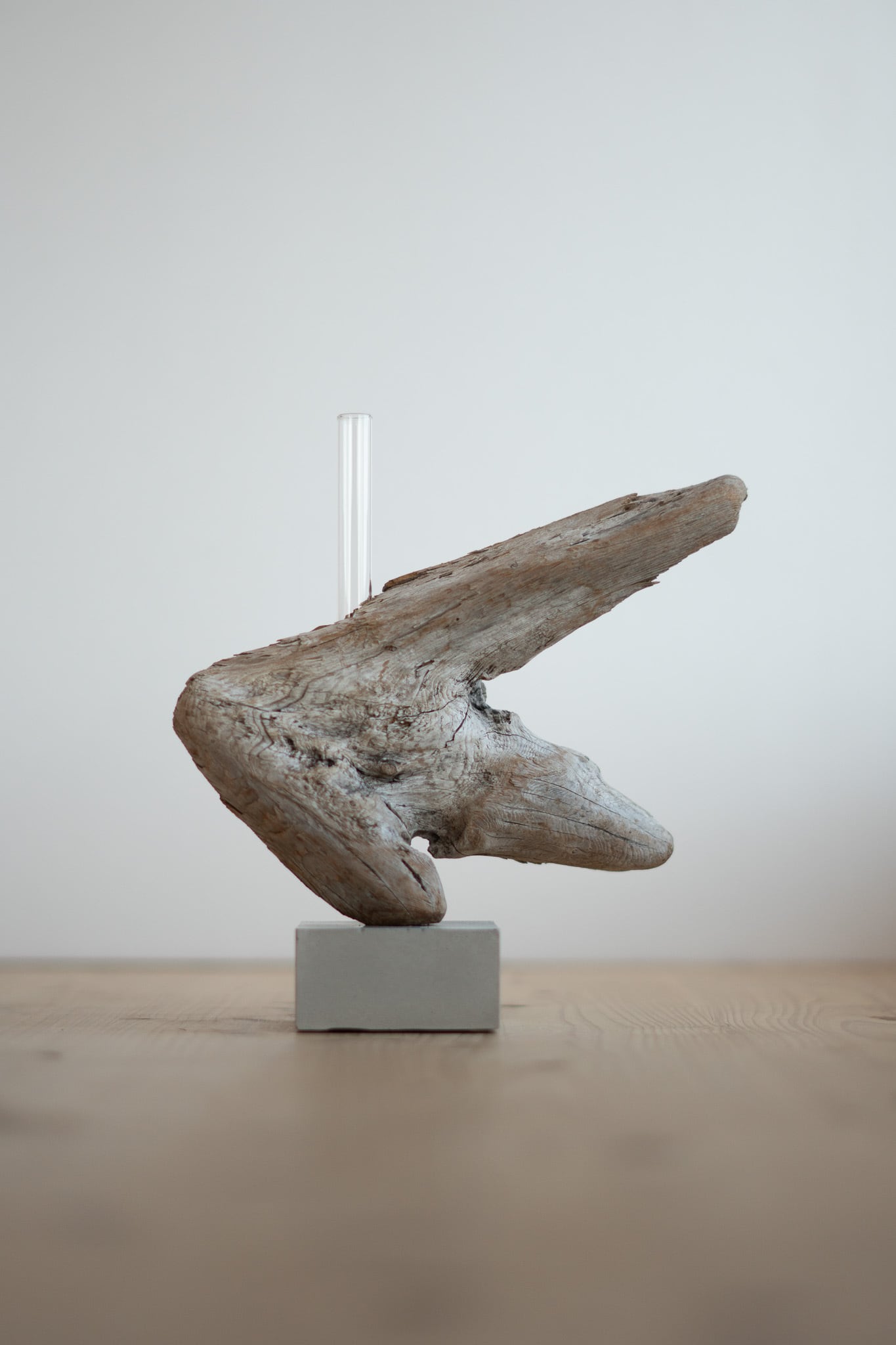 流木一輪挿し Cement M〔無塗装〕 no.18 | saisei