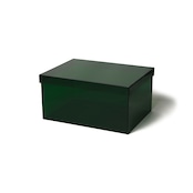 MULTI USE COLORED ACRYL BOX -GREEN | カラーアクリルボックス