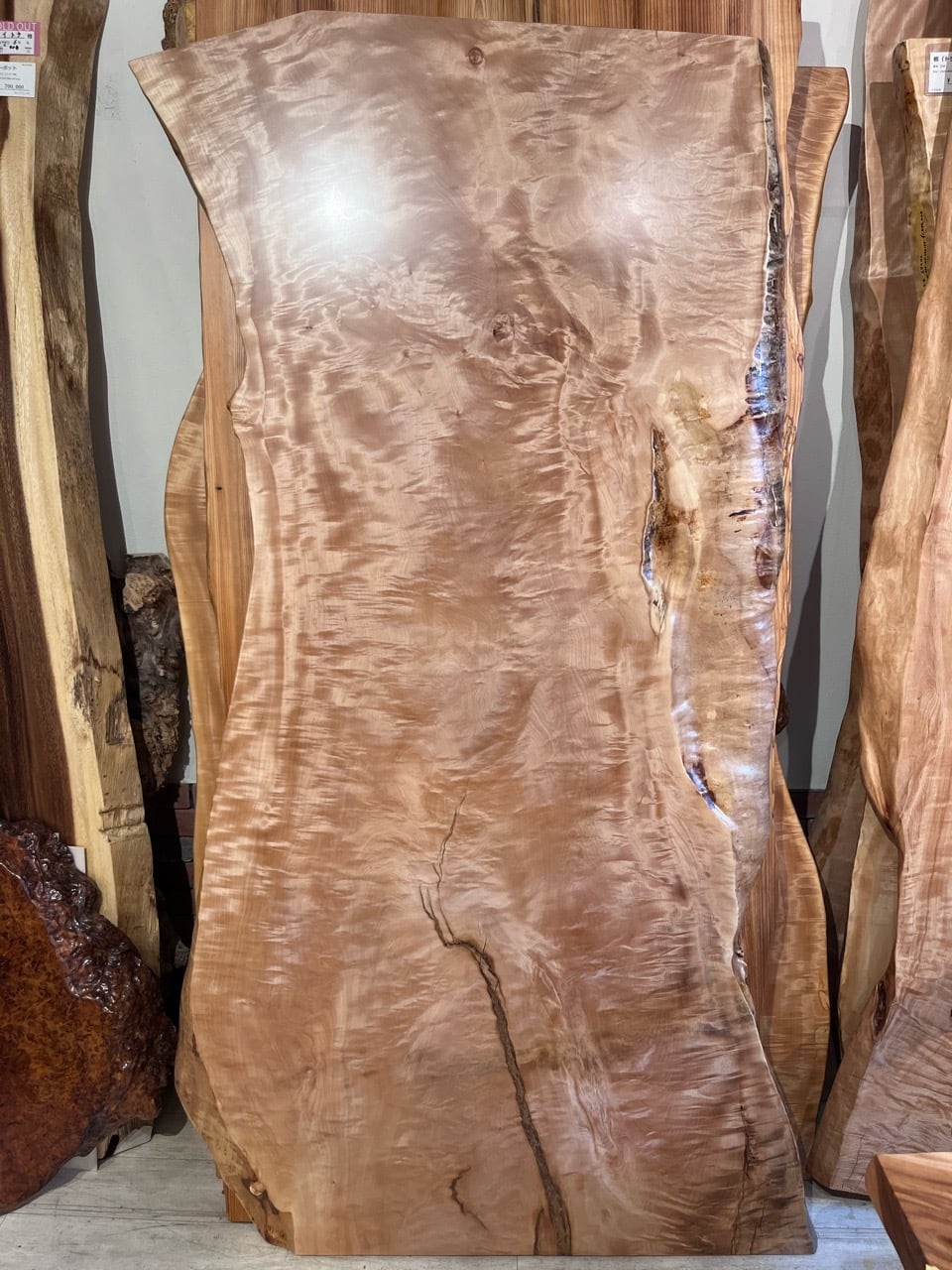 栃（トチ）_1890-1920×970-780-890×54_浅草本店_テーブル天板/一枚板