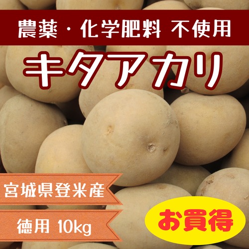 【徳用】じゃがいも(キタアカリ) 10kg