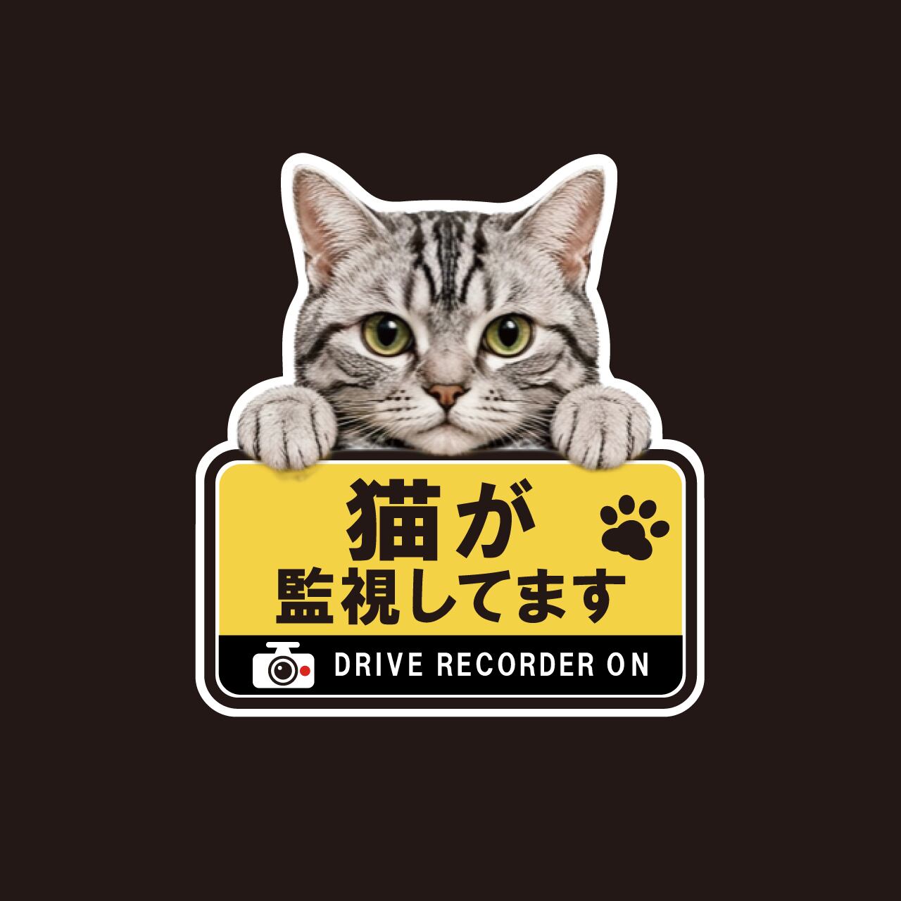 アメリカンショートへアー・アメショー・猫・ドライブレコーダー・ドラレコステッカー・角ゴシック・おしゃれ・撮影中・車・ステッカー・インクジェット印刷・屋外用・猫好き・ドライブグッズ・監視しています・おしゃれ・かわいい・肉球