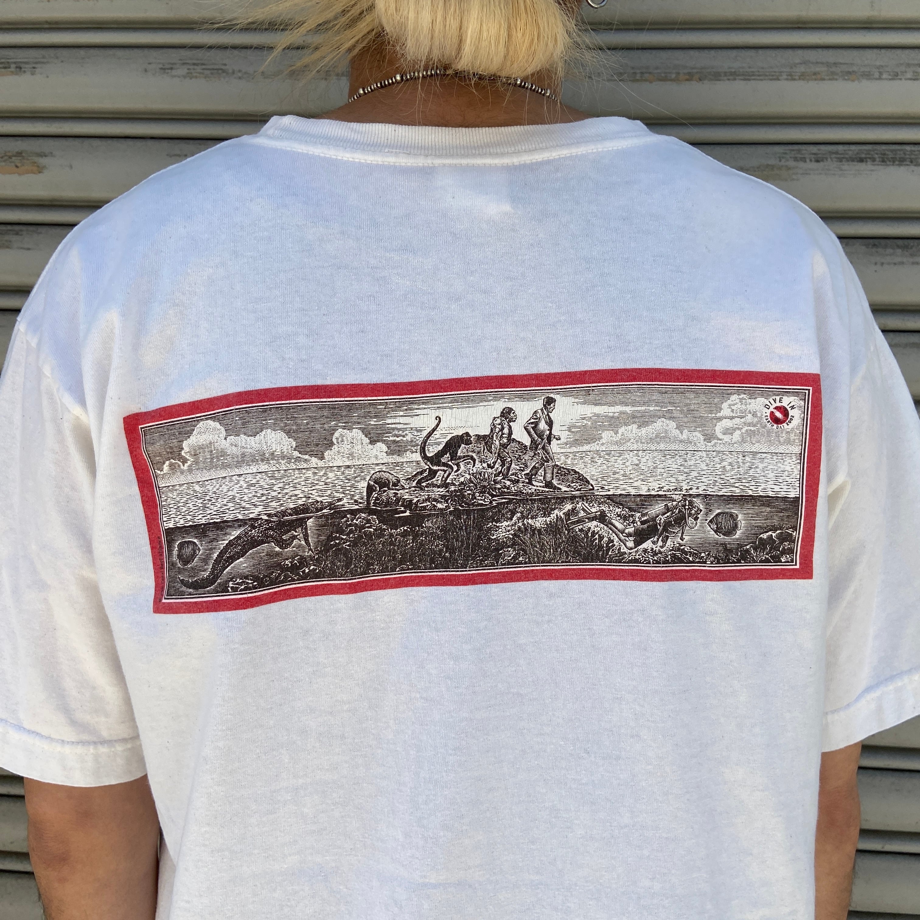 レア 00s USA製 パタゴニア ベネフィシャルTシャツ キナリ M 環境保護