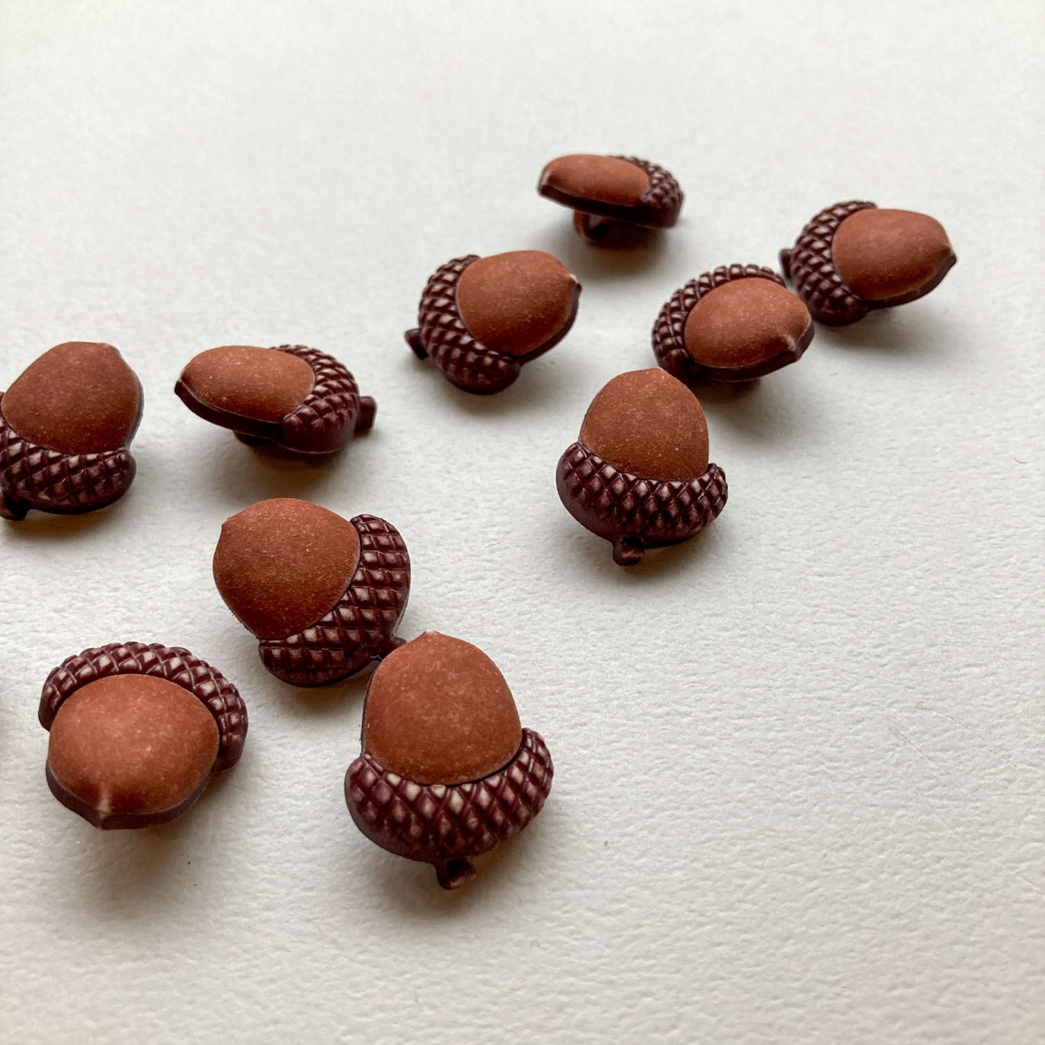 再入荷・オンライン限定》どんぐりのボタン | Dua-アクセサリーパーツ