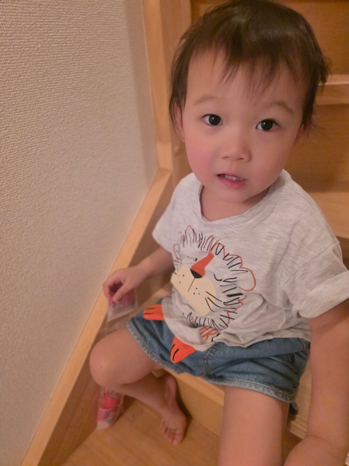 【即納】ORANGE MOM/LION top's T