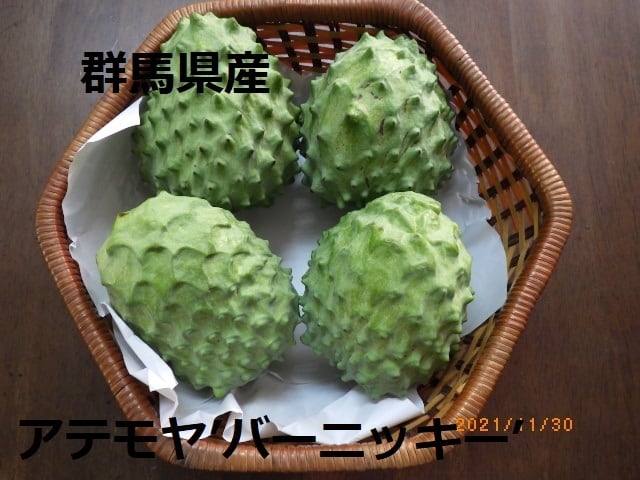 有)金井洋らん園 オンラインショップ