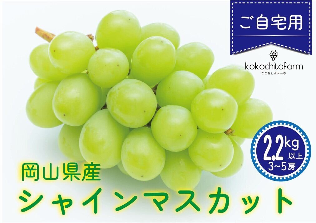 ご自宅用】岡山県産シャインマスカット 2.2㎏ | kokochitofarm