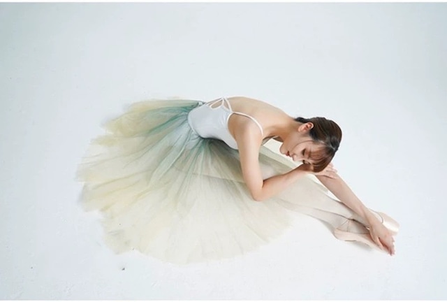 Dryad  Gradation Tutu Skirt