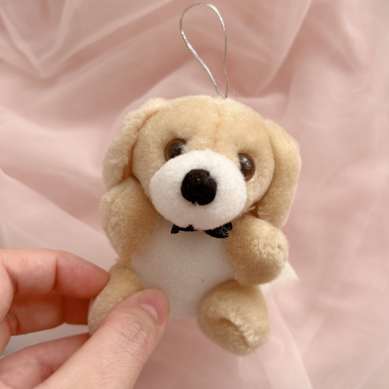 mini dogの画像02