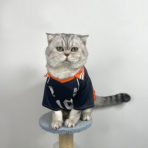 ペット用 コスプレ衣装 猫服 犬服 ハイキュー!! 風 日向翔陽 烏野高等学校 バレー部ユニフォーム 10番 ★受注品★
