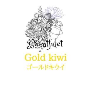 ゴールドキウイ（Gold Kiwi) 100g