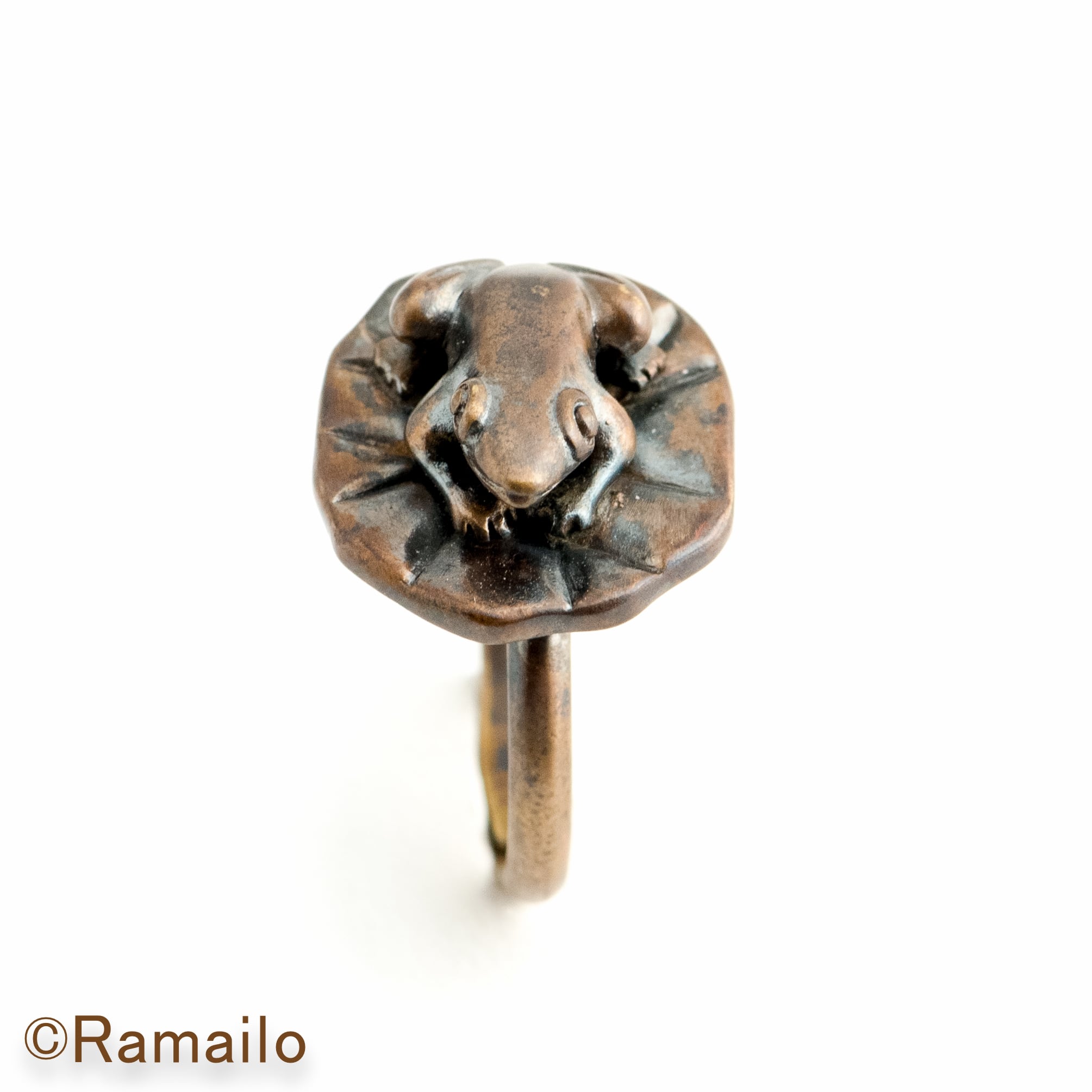 蓮の葉にカエルと鯉♪♪ 蓮の葉にカエルと鯉♪♪